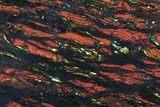 Polished Tiger Iron Stromatolite - ( Billion Years) #72915-1